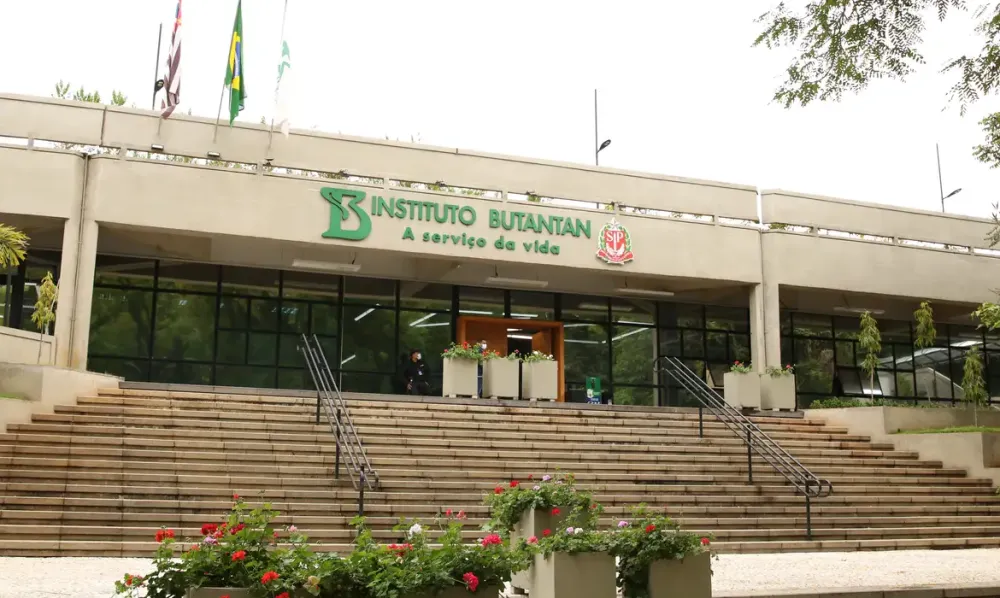 Inovação: Butantan produzirá remédio contra câncer para o SUS