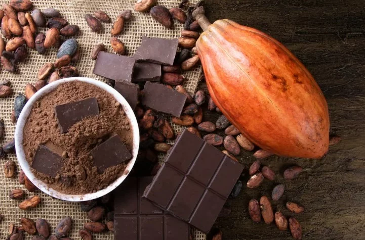 Cacau nos chocolates , nova lei define percentual mínimo