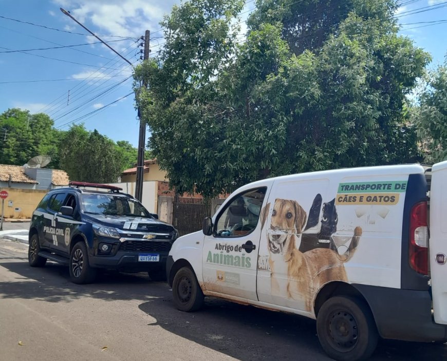 Animal é resgatado após denuncia de maus tratos