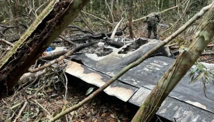 Caças da FAB abatem avião com drogas na Amazônia; dois morrem na ação